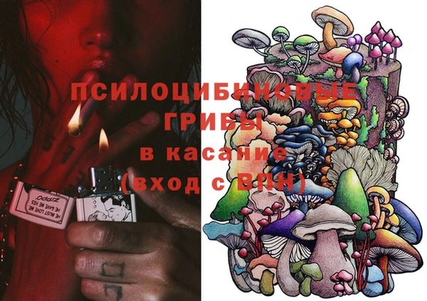 spice Арсеньев