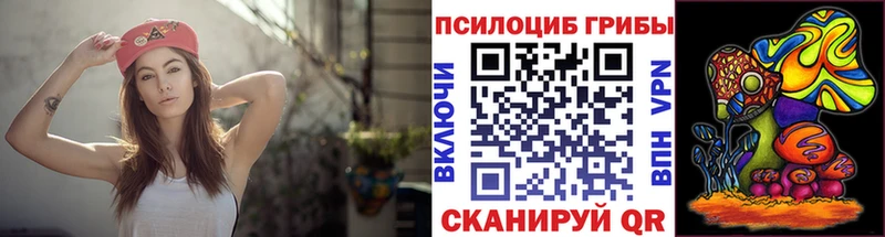 цена   Калуга  Псилоцибиновые грибы Magic Shrooms 