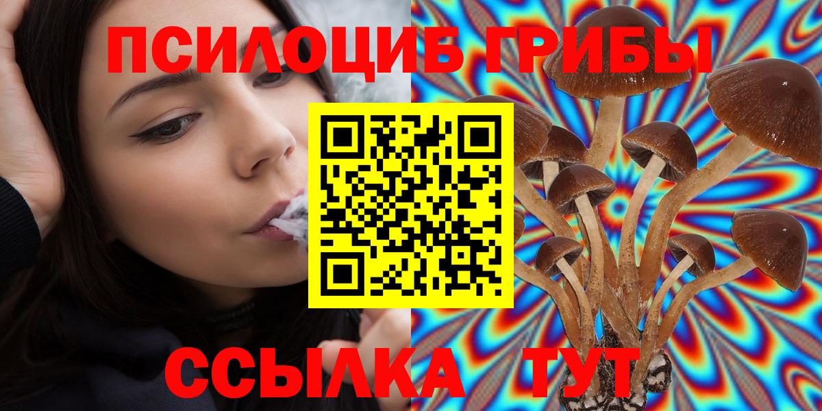 Галлюциногенные грибы мицелий Калуга