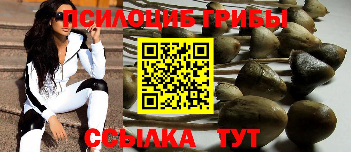 Псилоцибиновые грибы Magic Shrooms  Вход с VPN  Калуга 